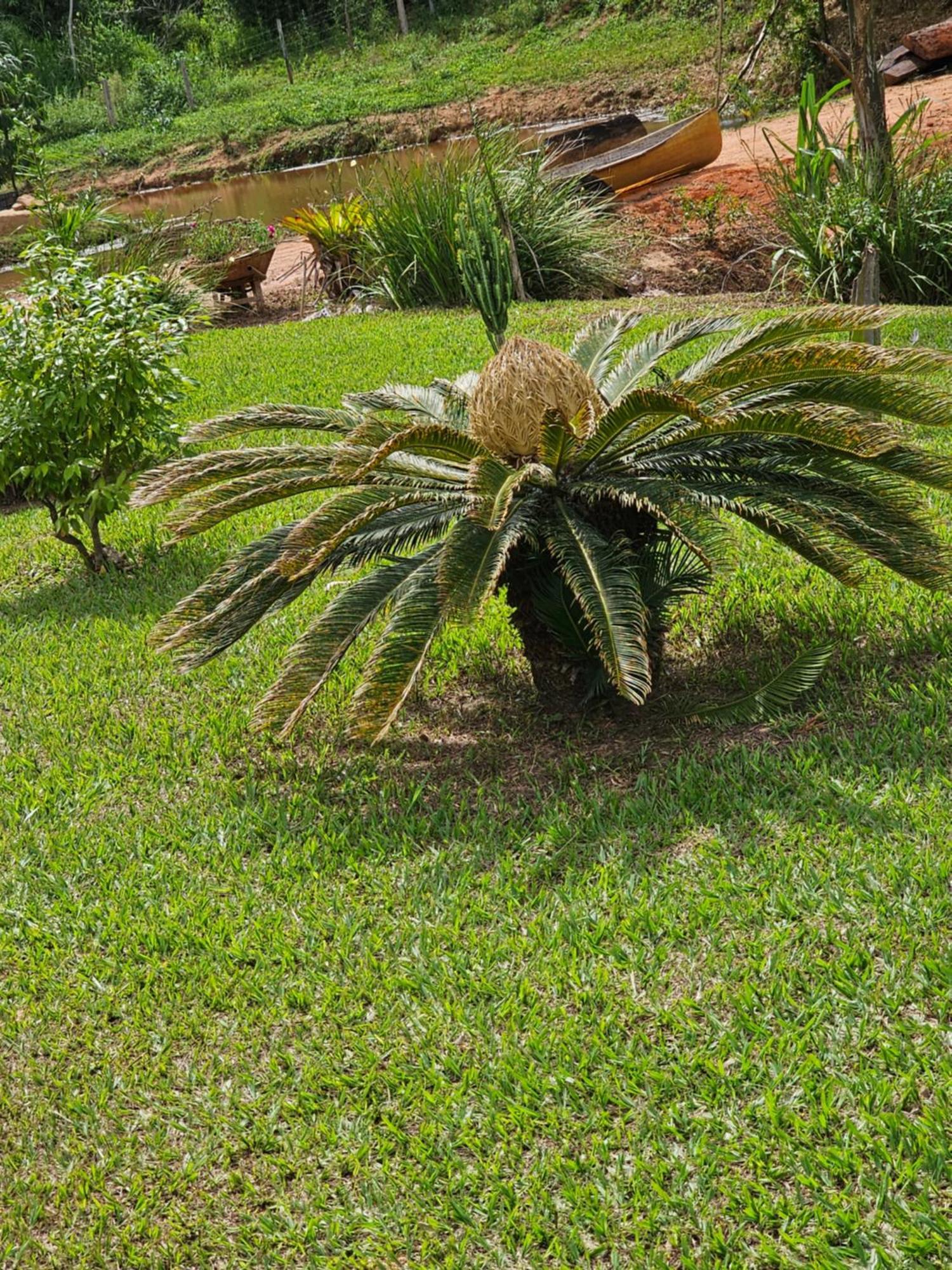 Rancho Membeca Villa Paraiba do Sul Exterior photo