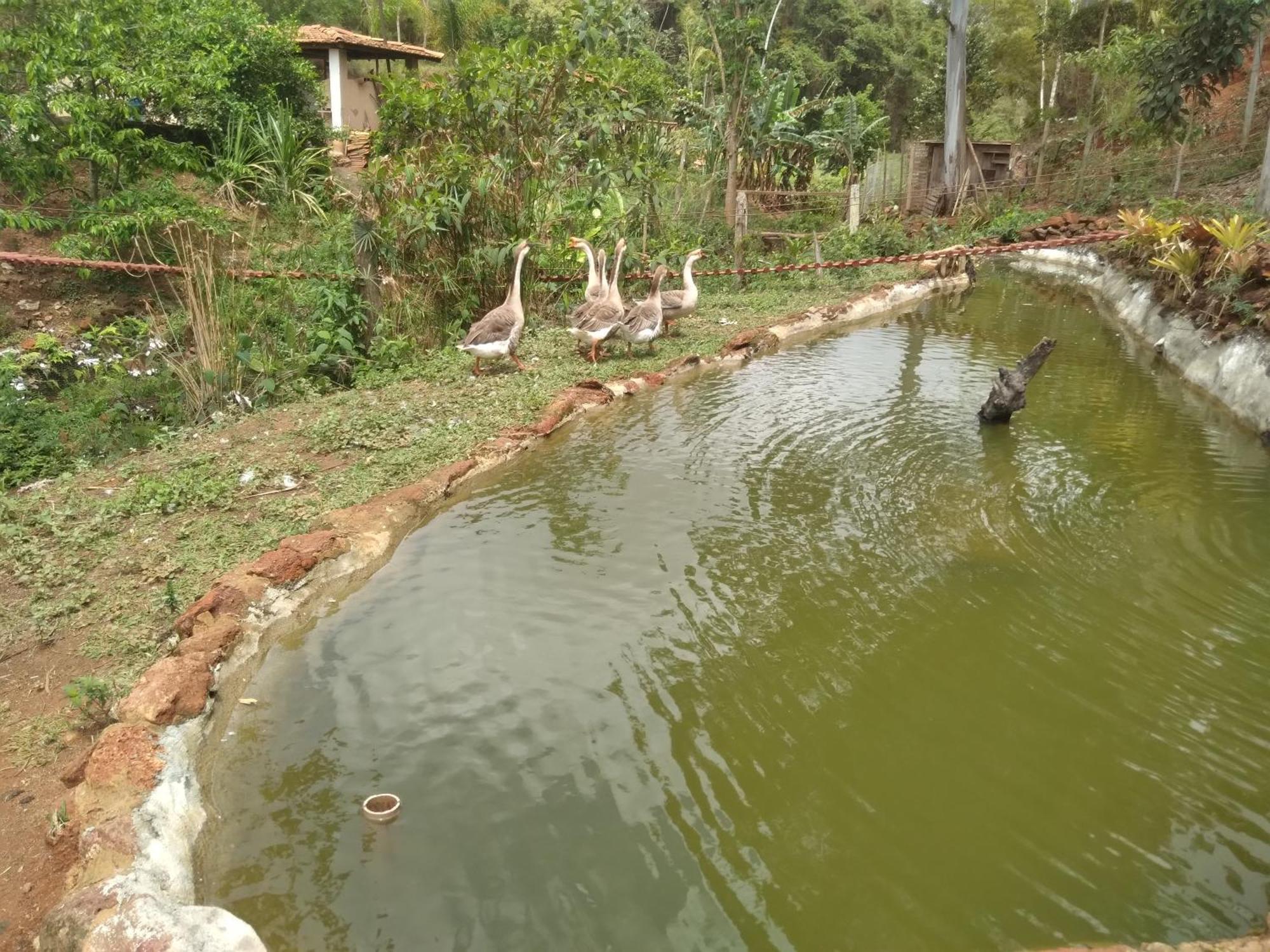 Rancho Membeca Villa Paraiba do Sul Exterior photo